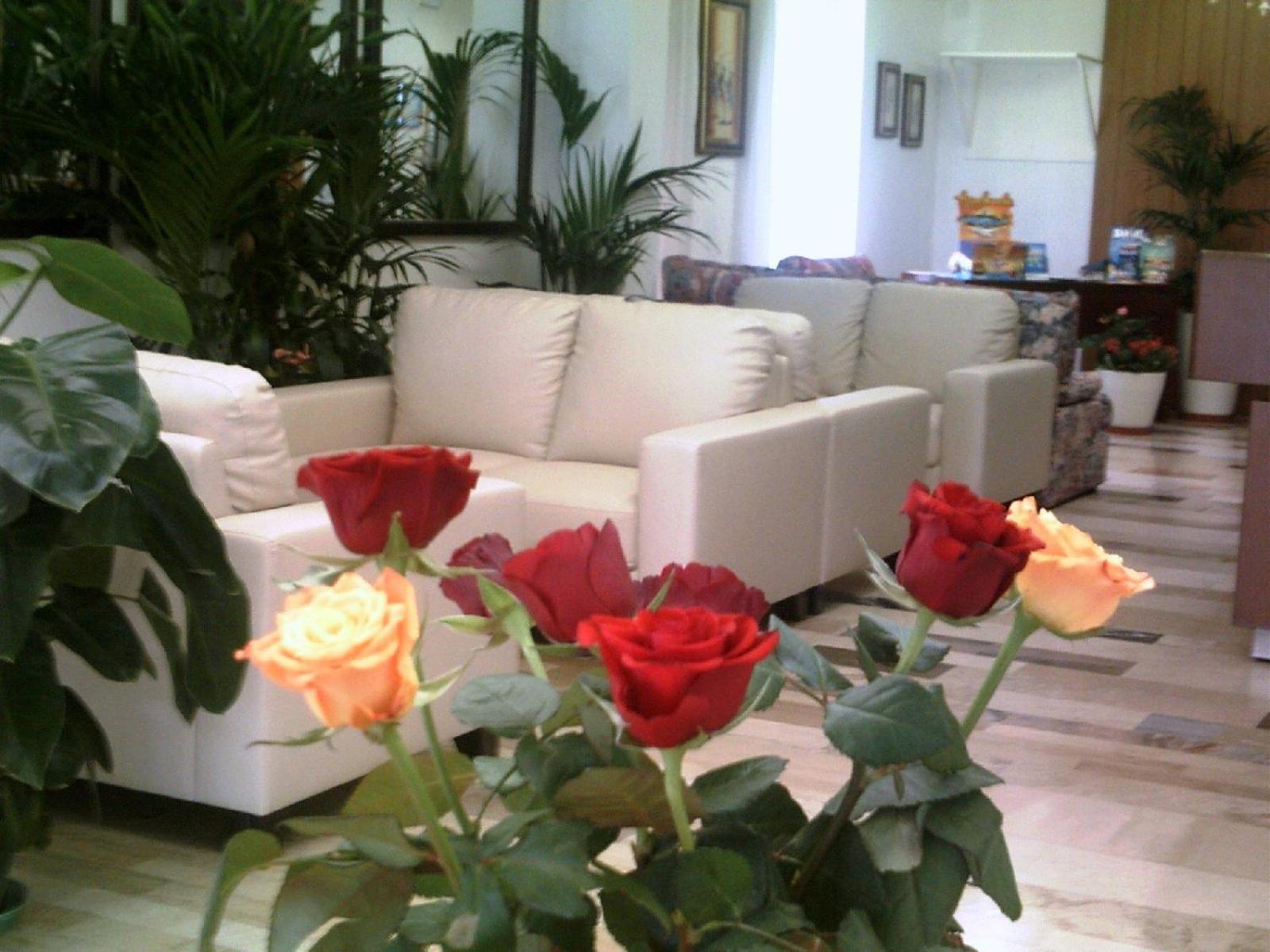 New Hotel